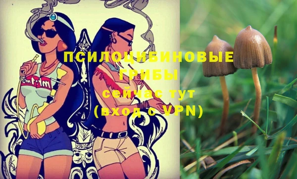 амф Белокуриха