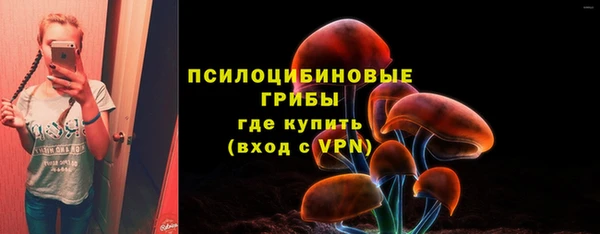 apvp Беломорск