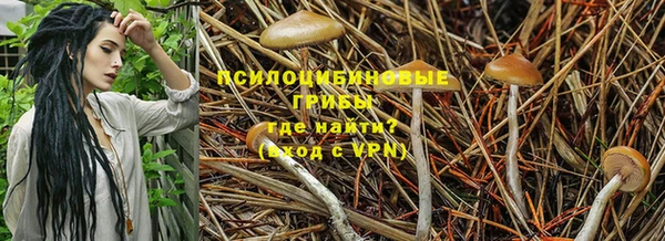 apvp Беломорск