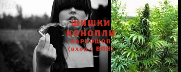 амф Белокуриха